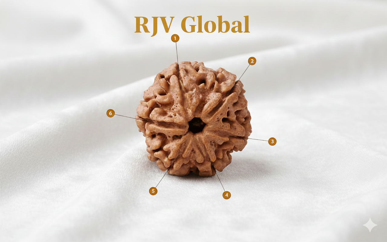 Nepal Origin 6 Mukhi (Six-Faced) Rudraksha 19 mm to 22mm