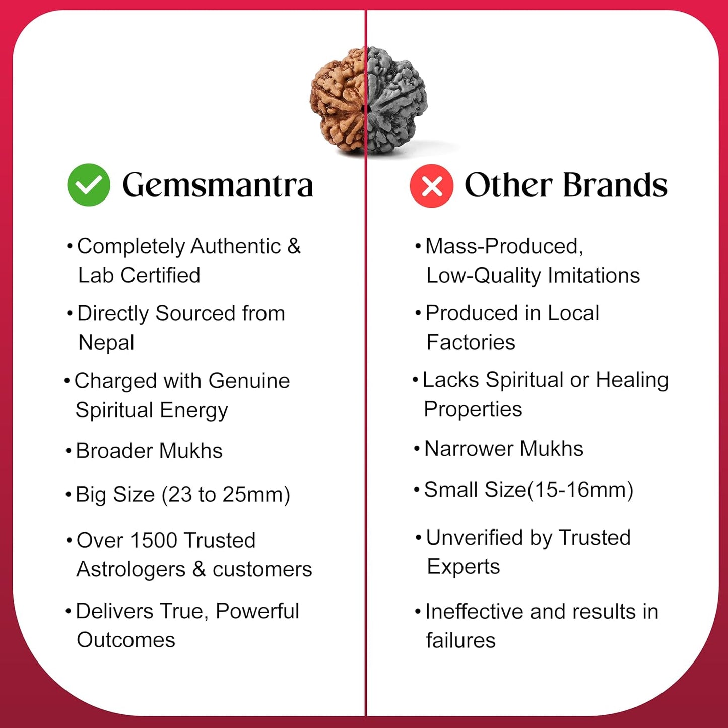 5 Mukhi Rudraksha -Nepal Origin