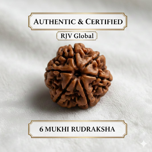 Nepal Origin 6 Mukhi (Six-Faced) Rudraksha 19 mm to 22mm